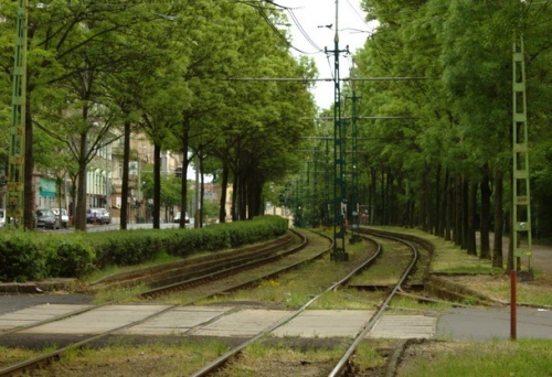 230 éves Budapest első nyilvános közparkja